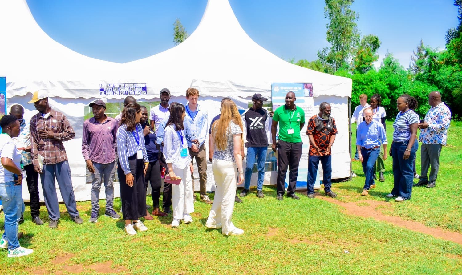 Community support background